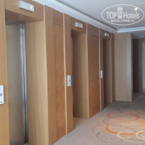 фото из отзыва ID 1513053