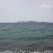 фото из отзыва ID 1513085