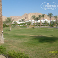 фото из отзыва ID 1513165