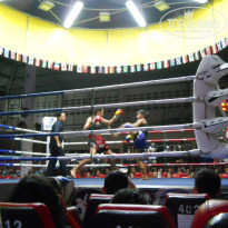 фото из отзыва ID 1513130