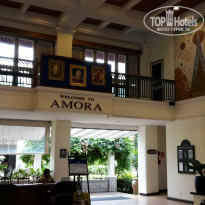 фото из отзыва ID 1513195