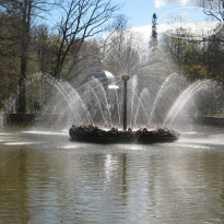 фото из отзыва ID 1513244