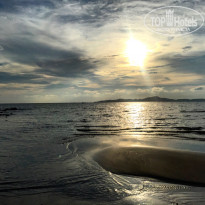 фото из отзыва ID 1513402