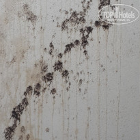 фото из отзыва ID 1513486