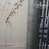 фото из отзыва ID 1513486