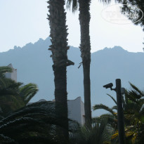 фото из отзыва ID 1513620