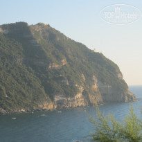 фото из отзыва ID 1513620