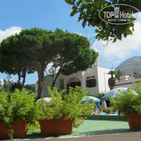 фото из отзыва ID 1513620