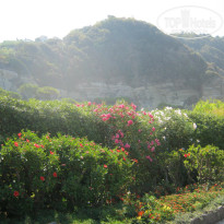 фото из отзыва ID 1513620