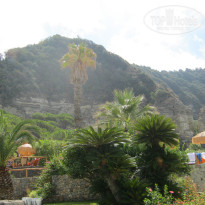 фото из отзыва ID 1513620