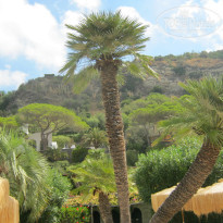 фото из отзыва ID 1513620