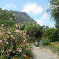 фото из отзыва ID 1513620