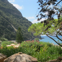 фото из отзыва ID 1513620