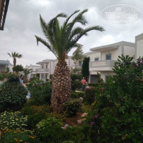 фото из отзыва ID 1510860