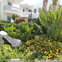 фото из отзыва ID 1510860