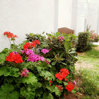 фото из отзыва ID 1510860