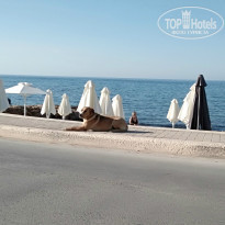 фото из отзыва ID 1510860