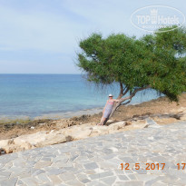 фото из отзыва ID 1513801