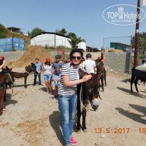 фото из отзыва ID 1513801