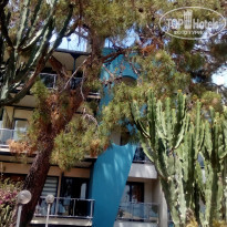 фото из отзыва ID 1513930