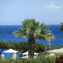 фото из отзыва ID 1513987