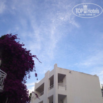 фото из отзыва ID 1514135