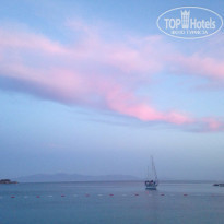 фото из отзыва ID 1514135