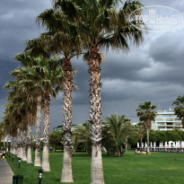 фото из отзыва ID 1514294