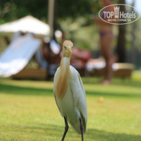 фото из отзыва ID 1514120