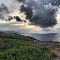 фото из отзыва ID 1514484