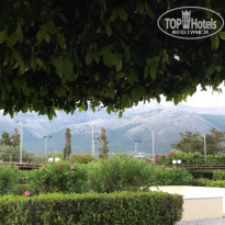 фото из отзыва ID 1514484