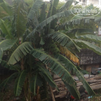 фото из отзыва ID 1514499