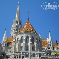 фото из отзыва ID 1514619