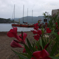 фото из отзыва ID 1514699