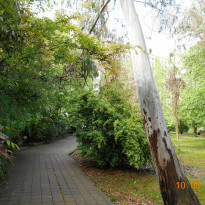 фото из отзыва ID 1514746