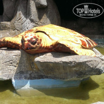 фото из отзыва ID 1514758