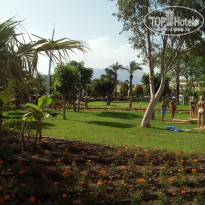 фото из отзыва ID 1514845