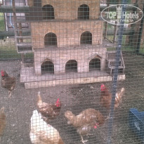 фото из отзыва ID 1514891