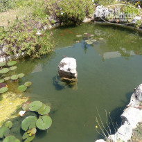 фото из отзыва ID 1513931