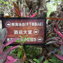 фото из отзыва ID 1513346