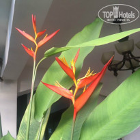 фото из отзыва ID 1513346