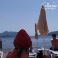 фото из отзыва ID 1515032