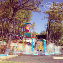 фото из отзыва ID 1515137