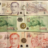 фото из отзыва ID 1515248