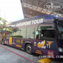 фото из отзыва ID 1515248