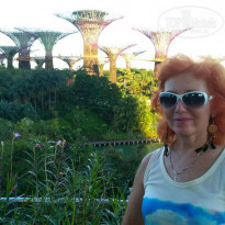 фото из отзыва ID 1515248