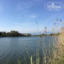 фото из отзыва ID 1515253