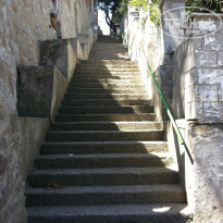 фото из отзыва ID 1515270