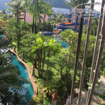 фото из отзыва ID 1515338