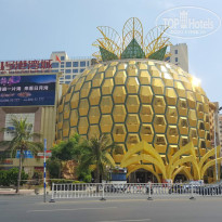 фото из отзыва ID 1513346